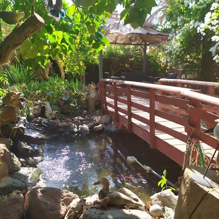Lotus Turtle Garden Eilat Lägenhet Exteriör bild