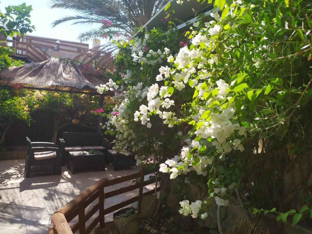 Lotus Turtle Garden Eilat Lägenhet Exteriör bild