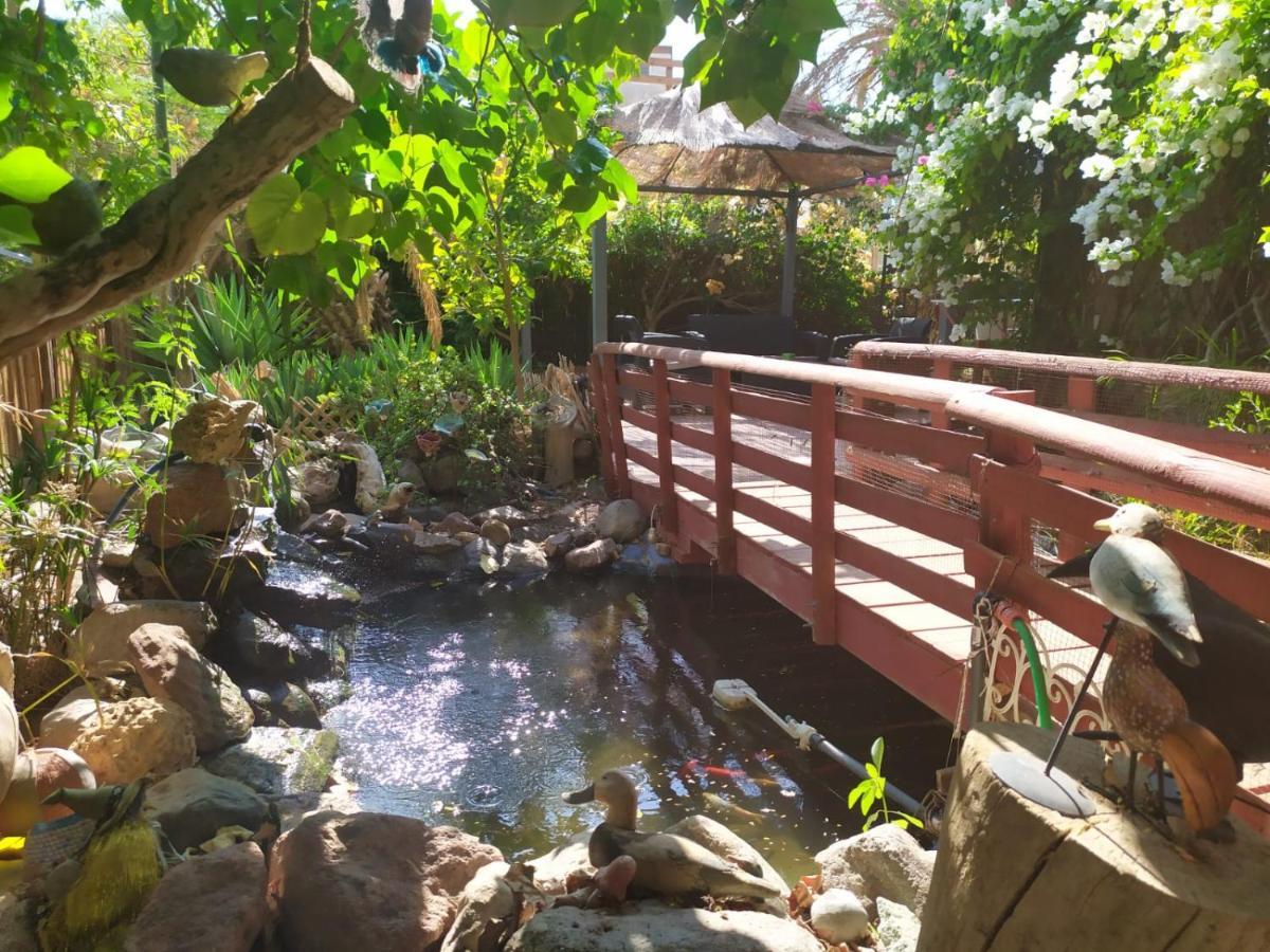 Lotus Turtle Garden Eilat Lägenhet Exteriör bild