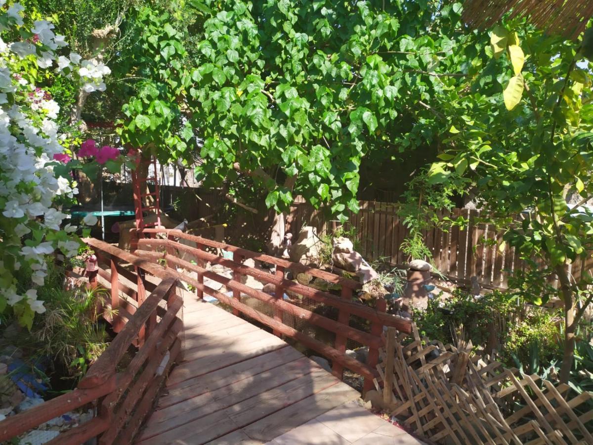Lotus Turtle Garden Eilat Lägenhet Exteriör bild