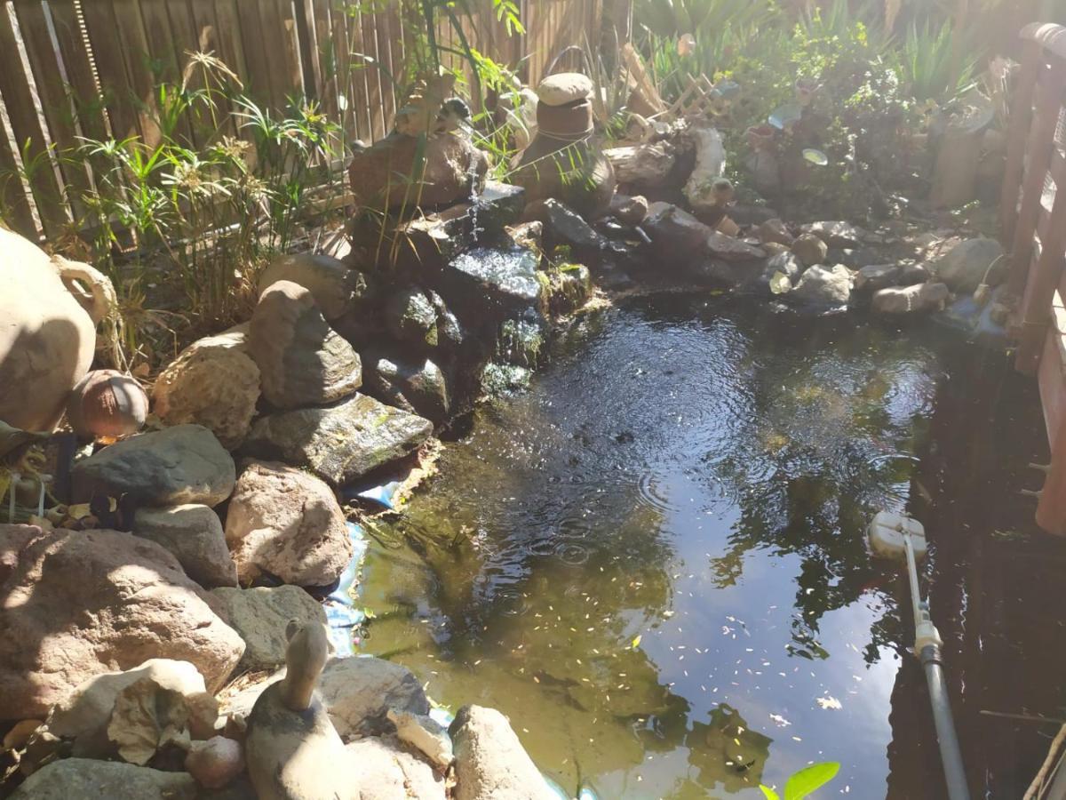 Lotus Turtle Garden Eilat Lägenhet Exteriör bild